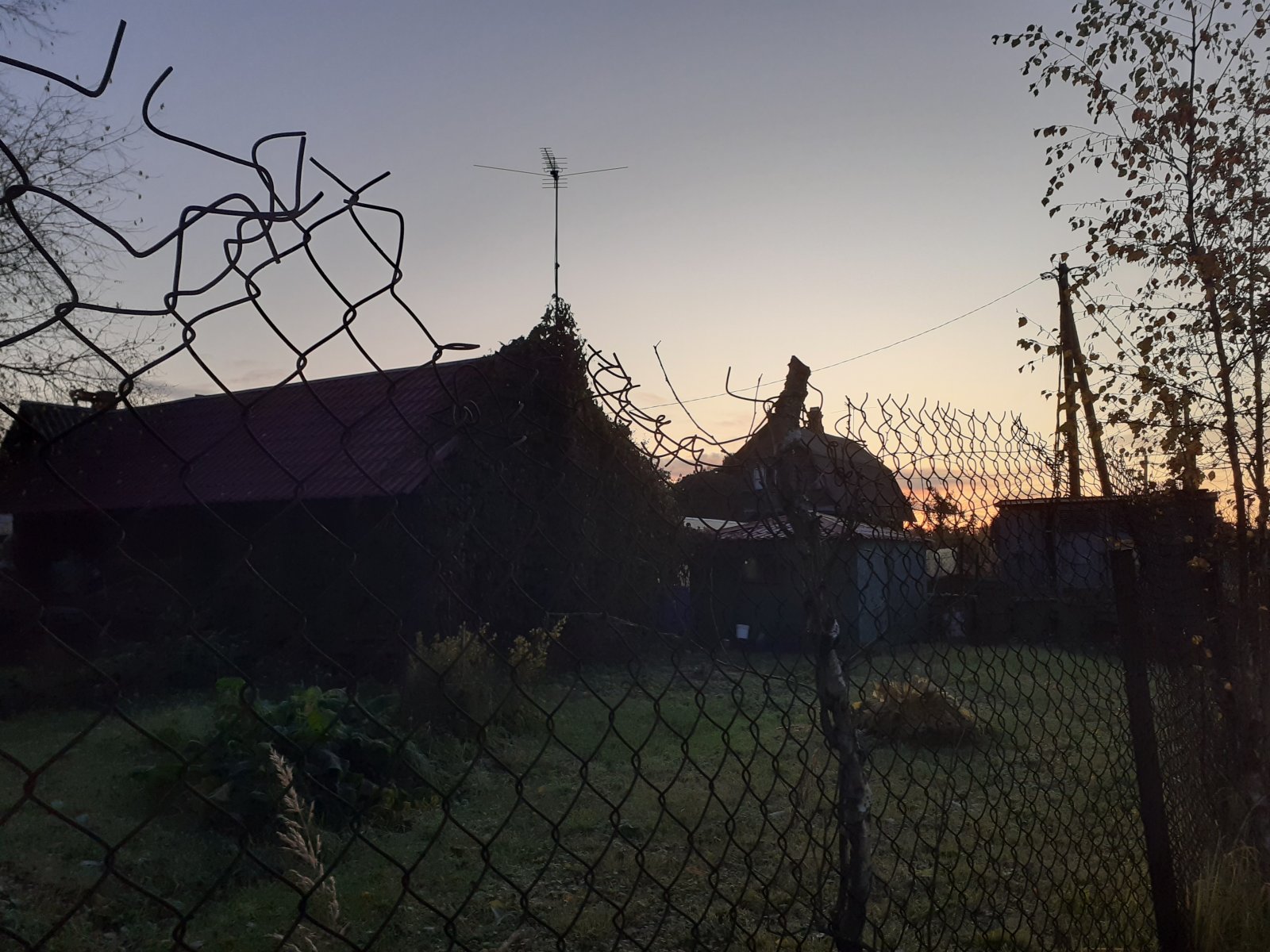 2-я линия, дом 91 (Кировский район, Мгинское городское поселение) в октябре 2019 года